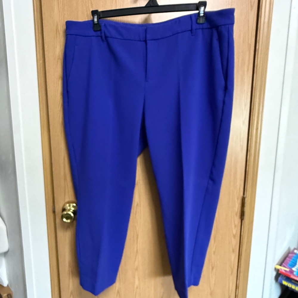 Old Navy Women's Vibrant Blue Trousers